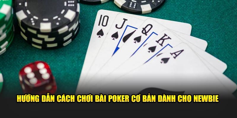 Hướng dẫn cách chơi bài poker cơ bản dành cho newbie