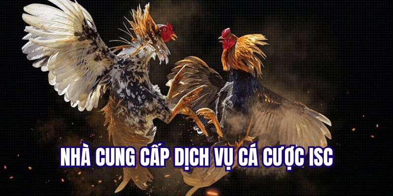 Nhà phát hành dịch vụ cá cược đá gà ISC