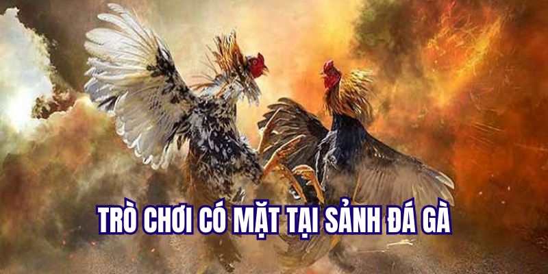 Những siêu phẩm đang có mặt tại sảnh đá gà